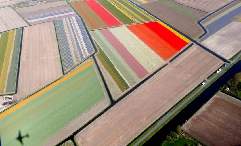 Aerial view of flower fields near the Keukenhof park, also known as the Garden of Europe, in Lisse April 9, 2014. Keukenhof, employing some 30 gardeners, is considered to be the world's largest flower garden displaying millions of flowers every year. REUTERS/Yves Herman (NETHERLANDS - Tags: SOCIETY ENVIRONMENT)