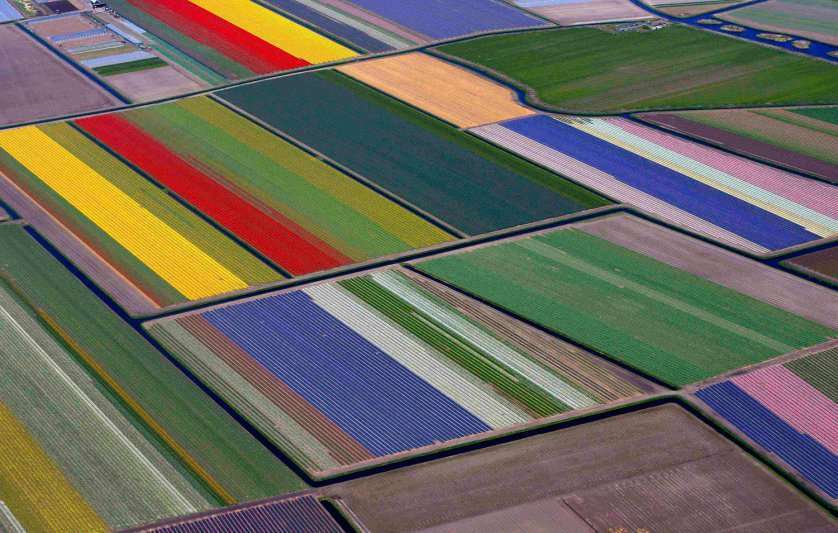 REFILE - CORRECTING TYPO IN FLOWER IN FIRST SENTENCE Aerial view of flower fields near the Keukenhof park, also known as the Garden of Europe, in Lisse April 9, 2014. Keukenhof, employing some 30 gardeners, is considered to be the world's largest flower garden displaying millions of flowers every year. REUTERS/Yves Herman (NETHERLANDS - Tags: SOCIETY ENVIRONMENT)
