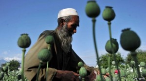 opiumi-Afganistan