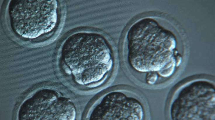 Zbulimi i madh për embrionët njerëzor