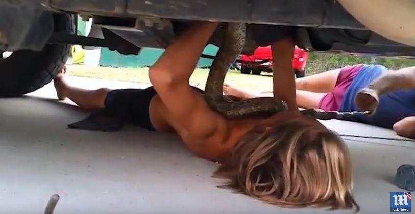 Video/ Adoleshenti nxjerr nga poshtë makinës gjarprin 2 metra të gjatë