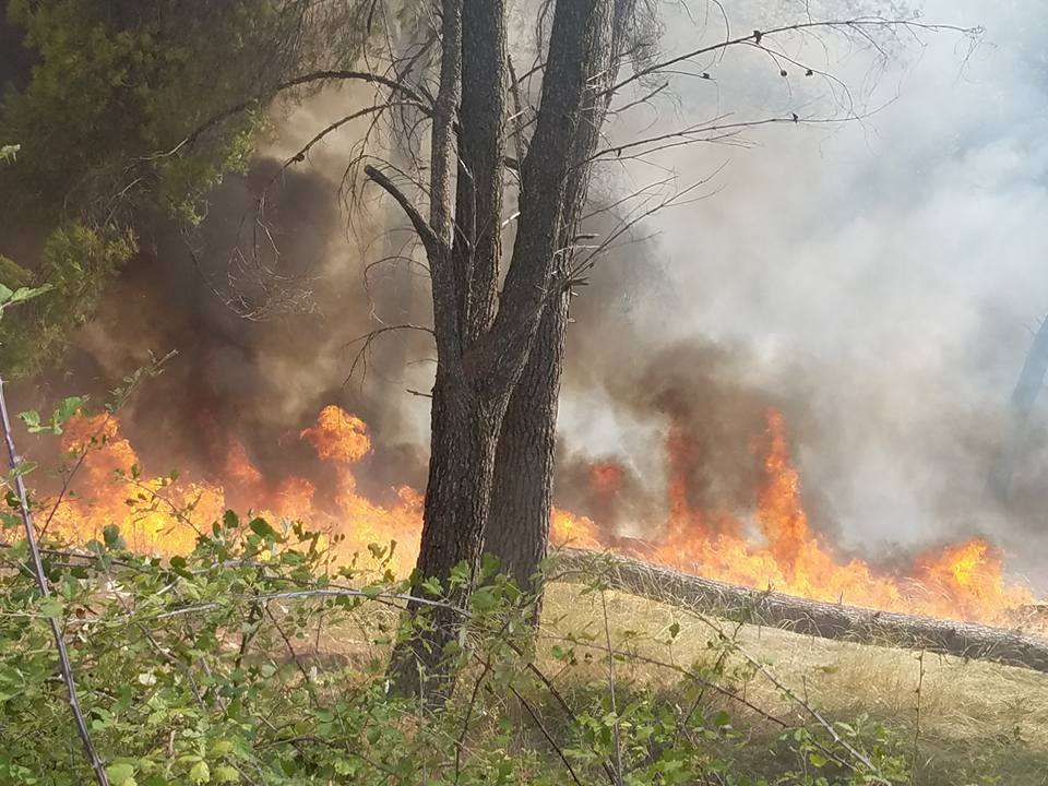 Emergjencat Civile: Gjatë 24 orëve të fundit janë shënuar 10 vatra zjarri