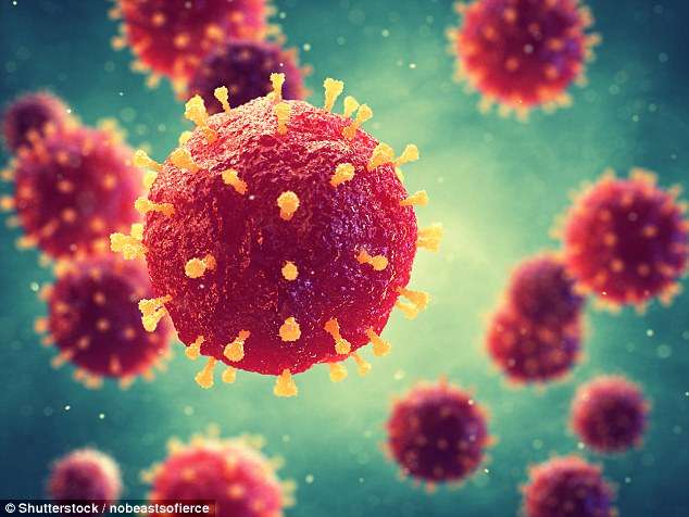 Përhapet një tjetër virus vdekjeprurës i ngjashëm me Ebolën
