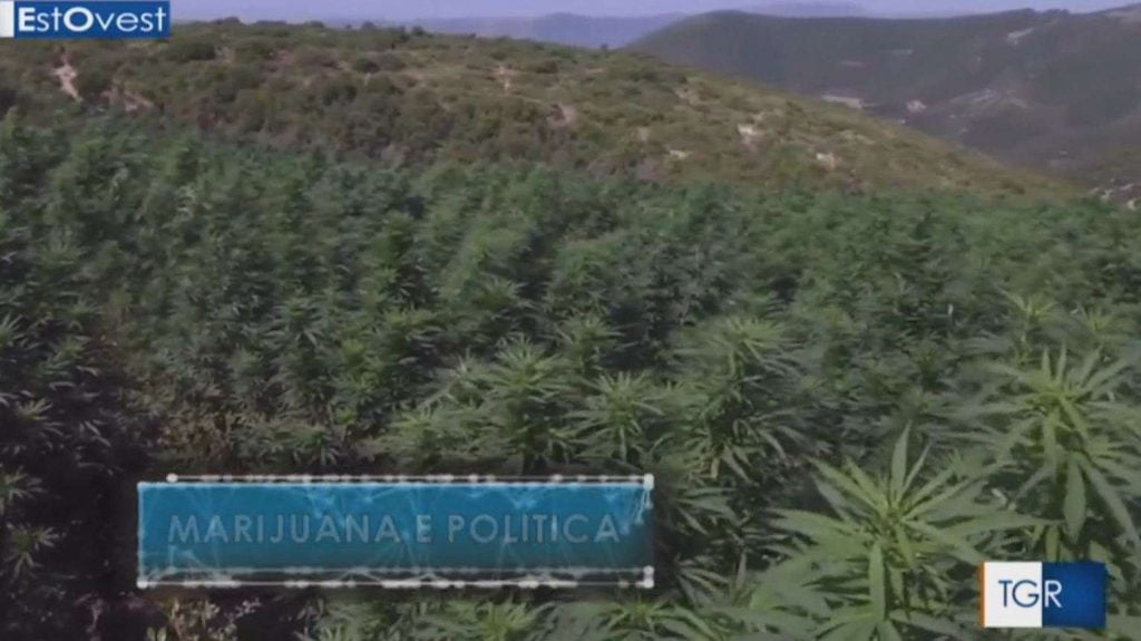 Tahiri dhe marijuana, Rai 3 reportazh në Shqipëri