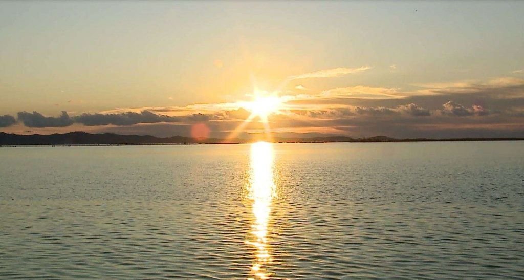 “Shkretohet” Laguna e Patokut