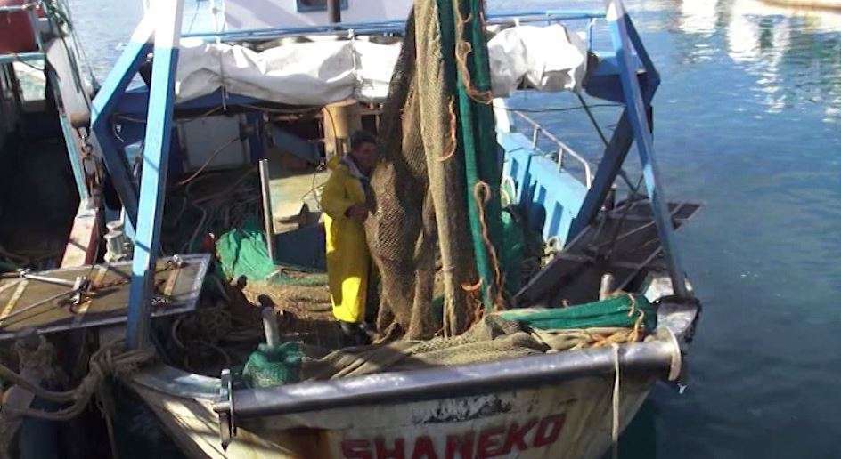 Peshkatarët e Vlorës ankesa për ankorimin e anijeve
