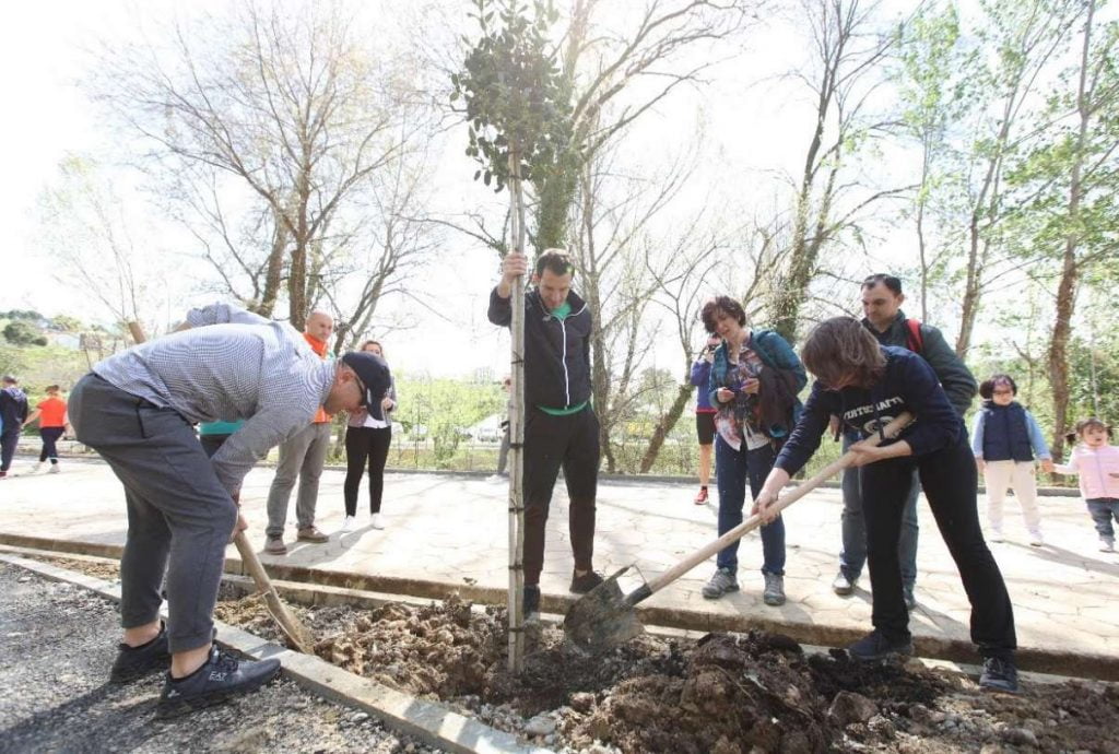 Parkut të Liqenit Artificial i shtohen pemë të reja