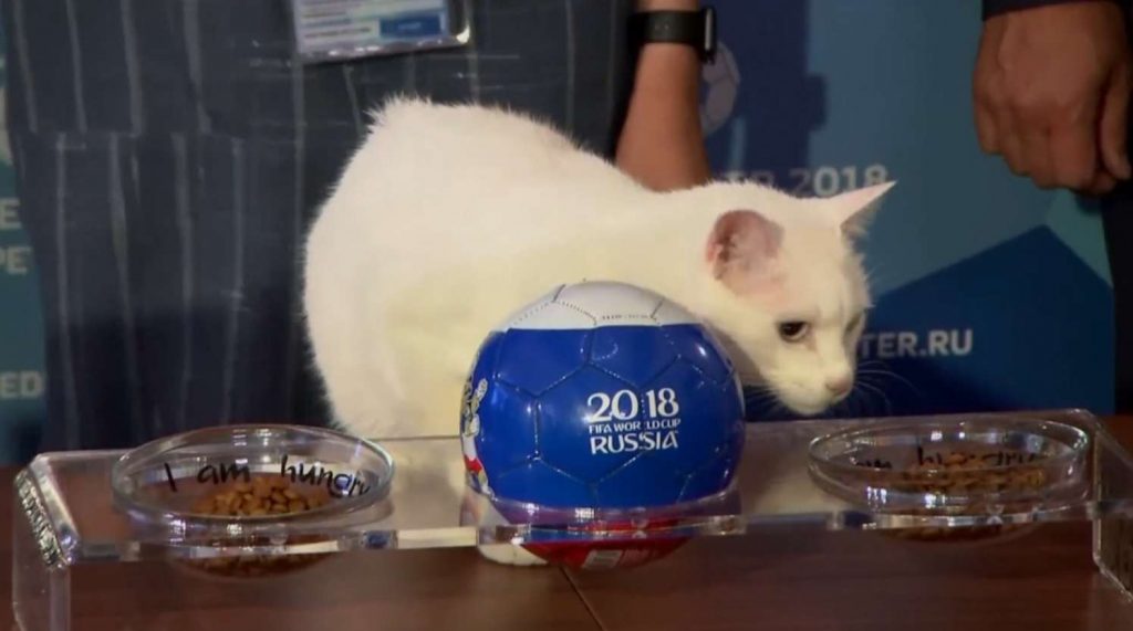 Macja parashikuese e Botërorit 2018, zgjedh fituesin mes Rusisë dhe Arabisë