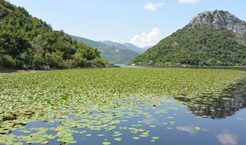 Lake Skadar: Why Southern Europe&#8217;s largest lake is worth a visit