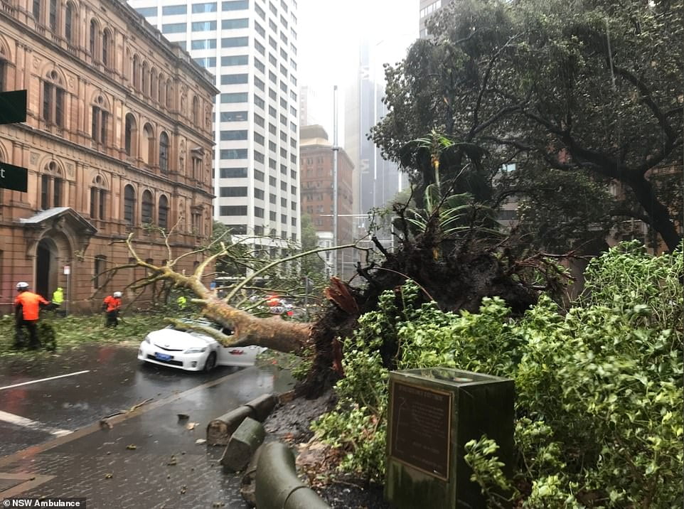Stuhia më fortë në 20 vite në Sydney, banorëve u kërkohet që të largohen nga shtëpitë
