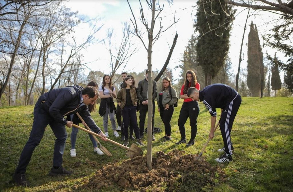 Nxënësit e shkollave i bashkohen mbjelljes së 100 pemëve në Parkun e  Liqenit
