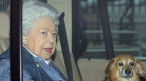 Koronavirusi, Mbretëresha Elizabeth II i drejtohet popullit