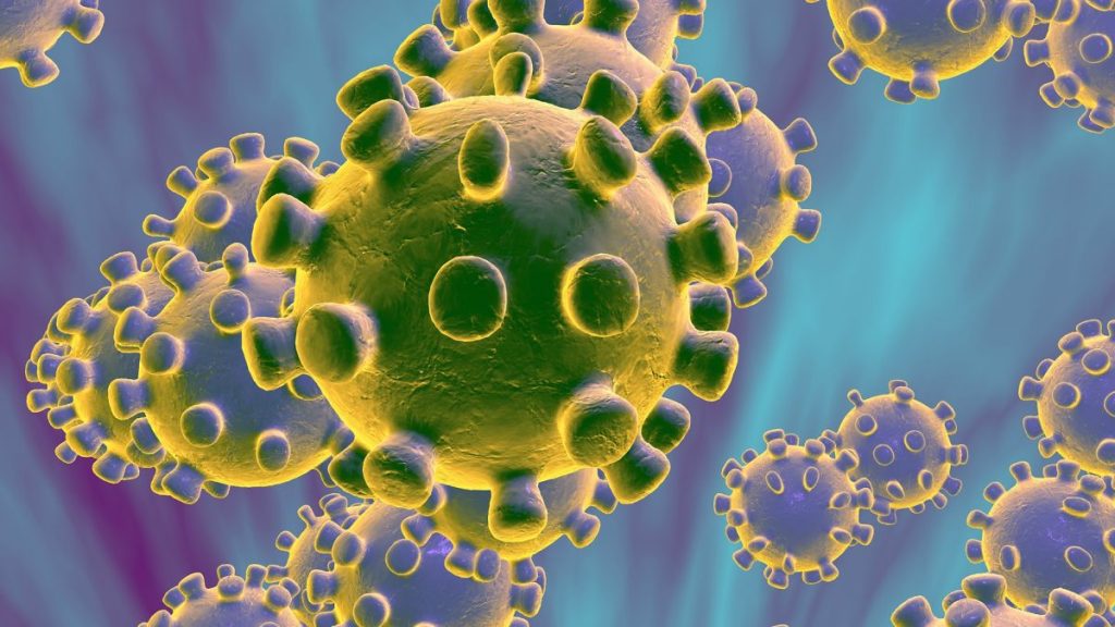 Ende mister si u shfaq koronavirusi
