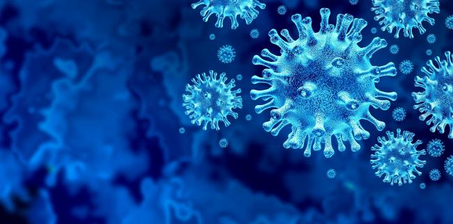 Koronavirusi nuk &#8220;pyet&#8221; për klimën