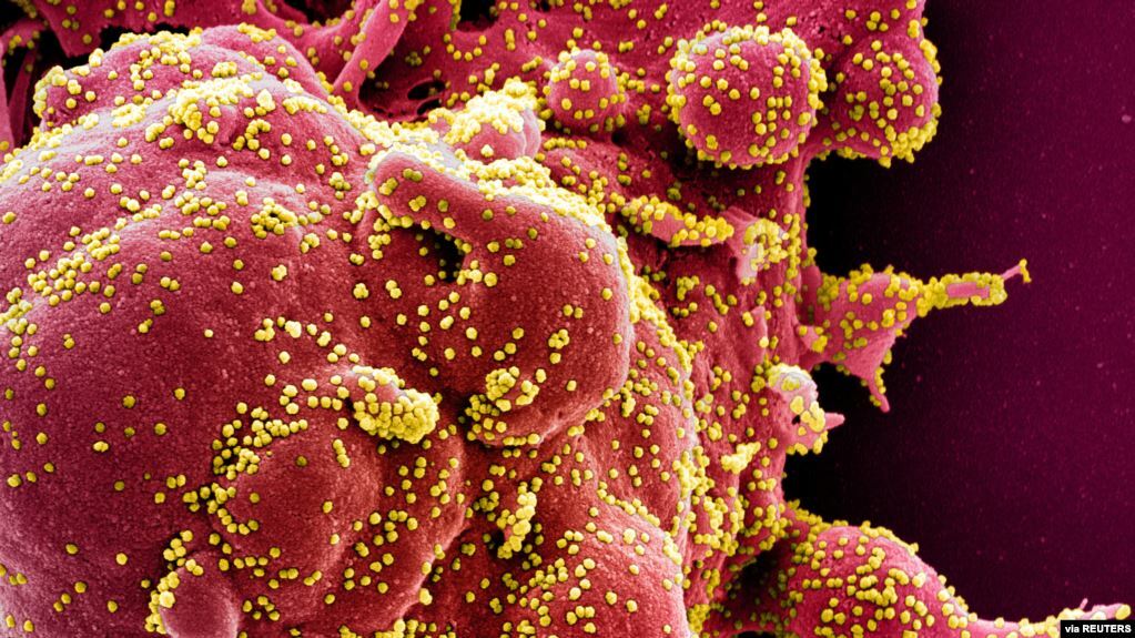 239 shkencëtarë: Koronavirusi edhe më i rrezikshëm; përhapet nga ajri