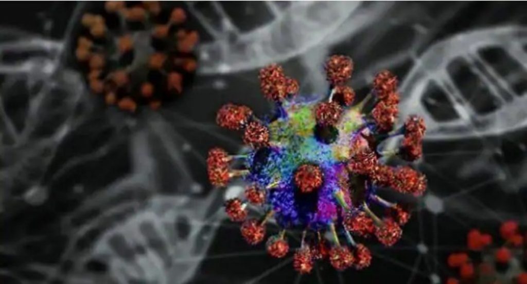 Koronavirusi i derrit: A rrezikojmë një tjetër pandemi të ngjashme me Covid-19?