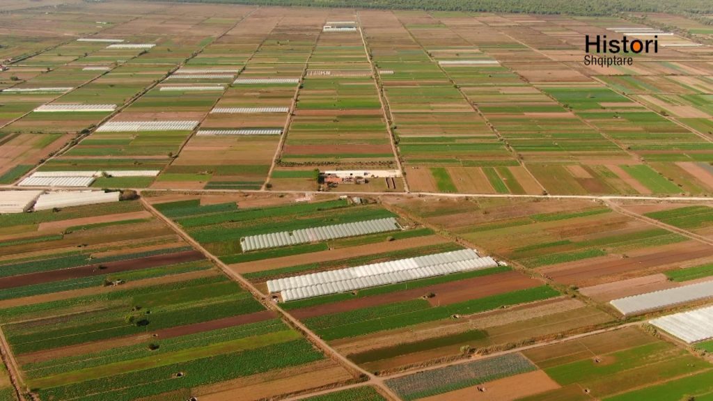 Agro Blend bën revolucion në bujqësinë shqiptare! &#8211; Histori shqiptare nga Alma Çupi