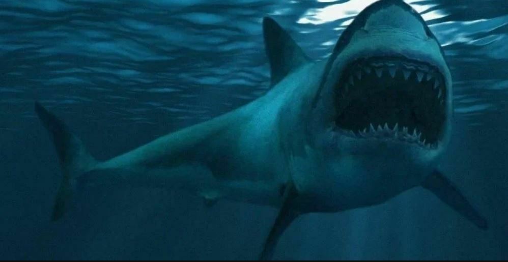 Përse u zhduk peshkaqeni më i madh në histori