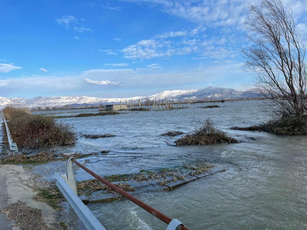 Përmbytjet në Shkodër, bashkia: Kërkohet mbështetje me bazë ushqimore