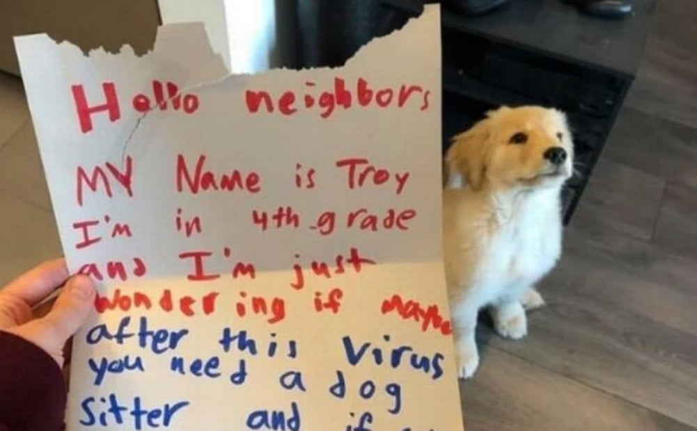 10-vjeçari i bën një kërkesë me shkrim, fqinji preket nga letra e tij dhe&#8230;