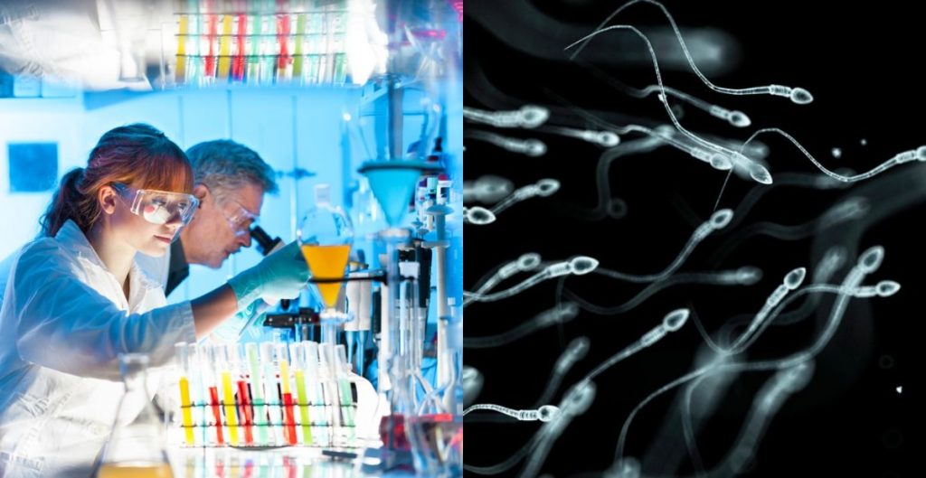 Ekspertët ngrejnë alarmin: Numri i spermatozoideve po kërcënojnë mbijetesën njerëzore