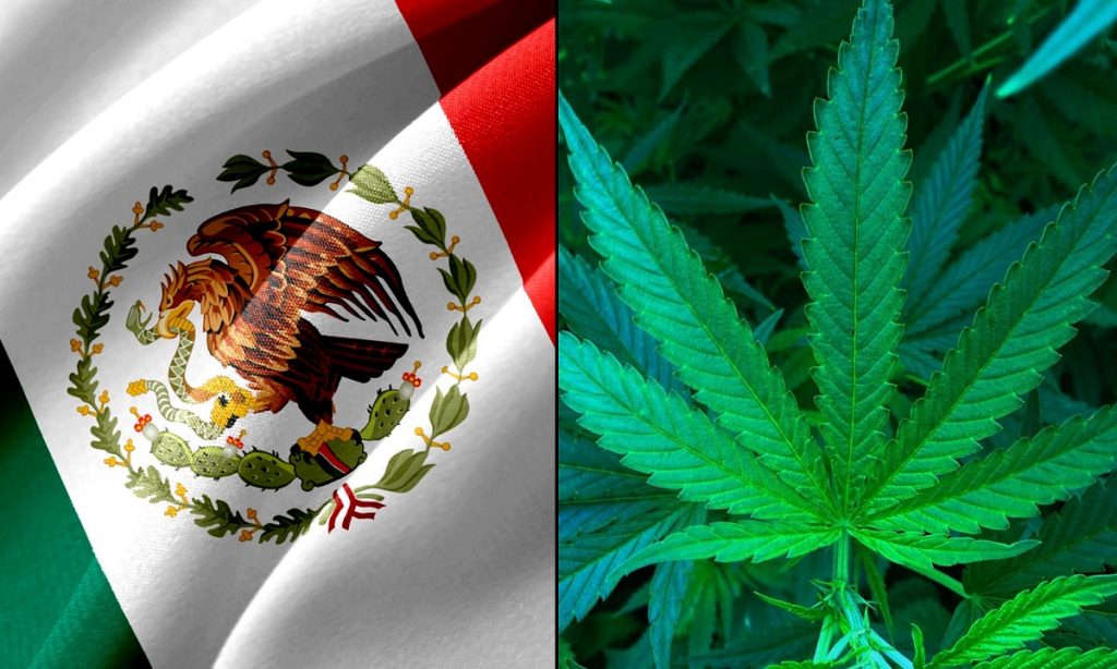 Meksika legalizon marijuanën