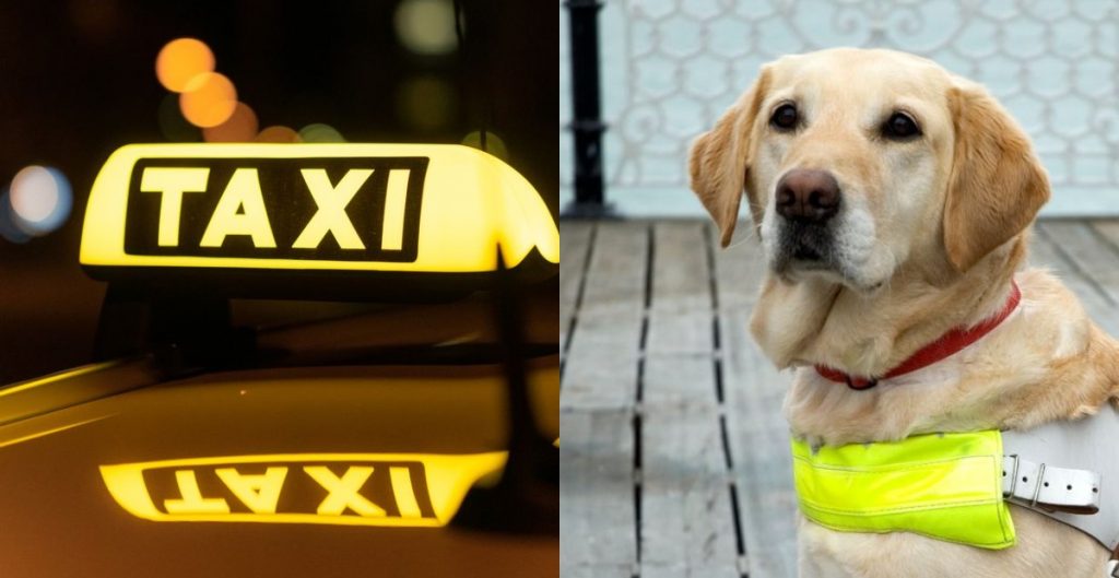 Shoferi i taksisë humb patentën pasi braktisi gruan e verbër me qenin udhëzues në një cep të rrugës