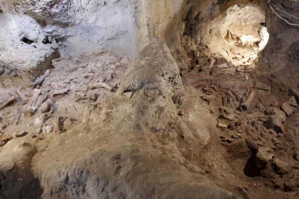 Arkeologët zbulojnë 9 eshtra të tjera të kohës së Neandertalit
