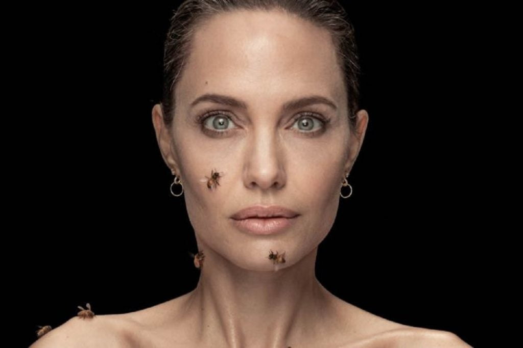 Angelina Jolie e rrethuar nga bletët