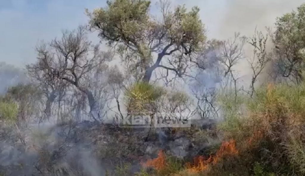 Zjarr i madh në fshatin Panaja
