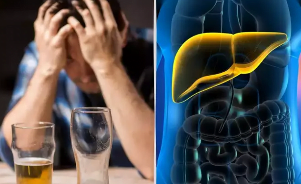 Shenjat e hershme të dëmtimit të mëlçisë nga pirja e tepërt e alkoolit
