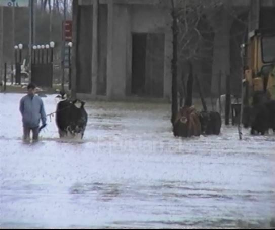 Reshje të dendura shiu në Gjirokastër, përmbyten toka dhe nënstacioni elektrik (5 Shkurt 2003)