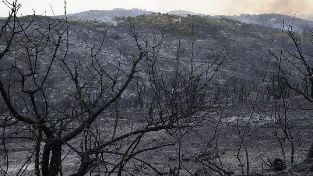 26 të vdekur nga zjarret në pyjet e Algjerisë