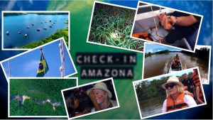 Check In &#8211; Amazona &#8211; 8 Tetor 2022