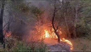 Banka Botërore: Shqipëria e riskuar nga ndryshimet klimaterike