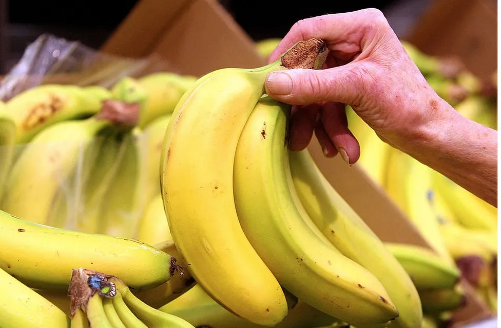 “Banane më të shtrenjta me rritjen e temperaturave”, parashikimi i ekspertit të ekonomisë