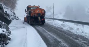 Veriu “pushtohet” nga bora në Pranverë