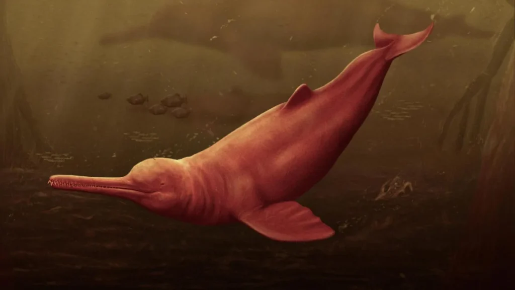 Gjendet delfini prehistorik në Amazonë