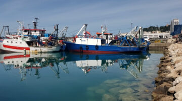 Peshkatarët në Durrës ankohen për çmimin e naftës