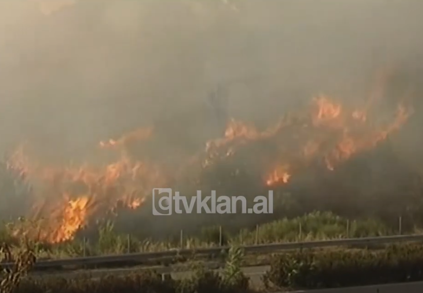 I nxehti afrikan përfshin Ballkanin, temperaturat parashikohet të shkojnë në 40 gradë -15 Gusht 2008