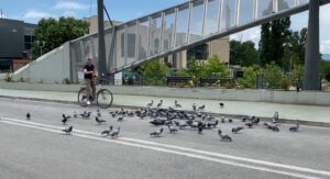 Ura e Ibrit, 13 vite e bllokuar. Elshani: Policia, e gatshme të zbatojë çdo urdhër