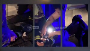 Emocionuese nga Shkodra: Zjarrfikësi hero shpëton kotelen nga flakët (Video)