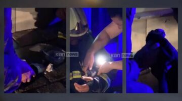 Emocionuese nga Shkodra: Zjarrfikësi hero shpëton kotelen nga flakët (Video)