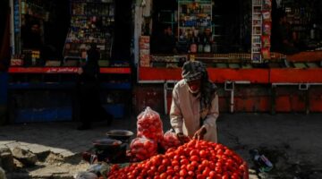 Pensionistët afganë bëhen shitës në rrugë