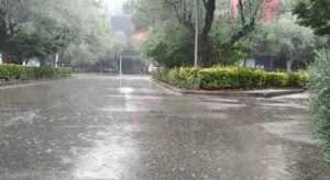 Reshje të dendura shiu në disa zona të vendit