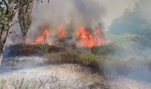 Zjarr në afërsi të ish-fushës së plehrave në Fier (Pamje nga vendngjarja)
