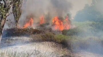 Zjarr në afërsi të ish-fushës së plehrave në Fier (Pamje nga vendngjarja)