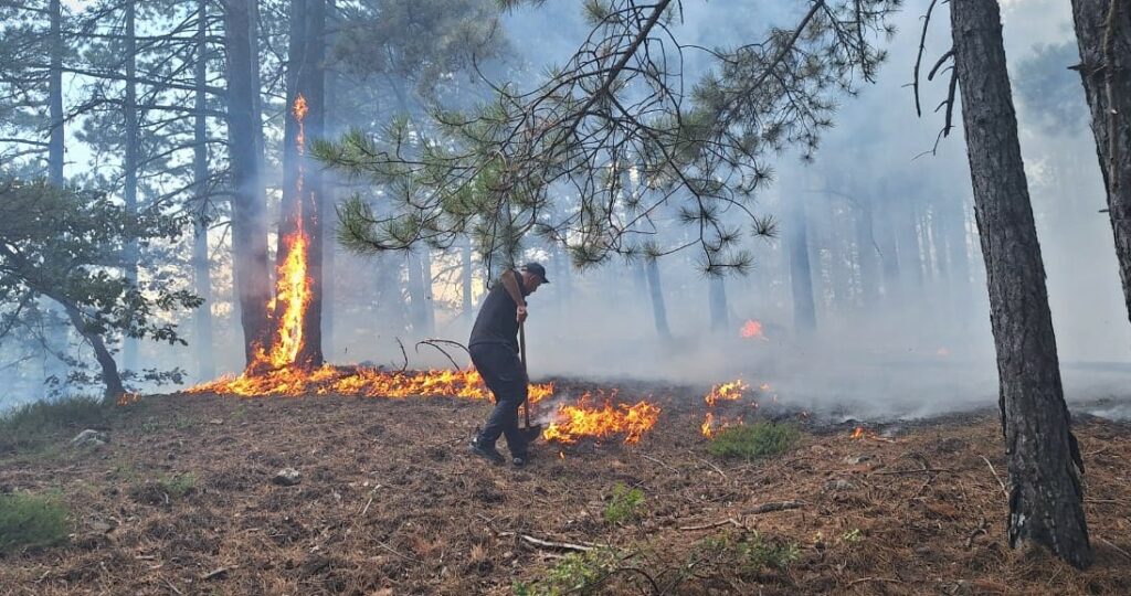 Si është situata e zjarreve në vend, disa vatra ende aktive