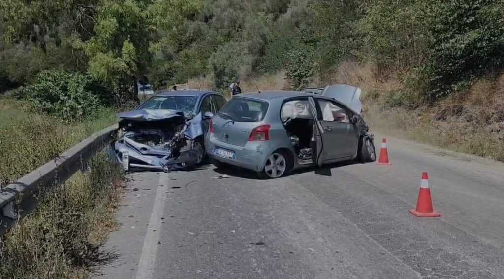 Makinat përplasen &#8220;kokë më kokë&#8221; në aksin rrugor Fier-Levan, tre të plagosur