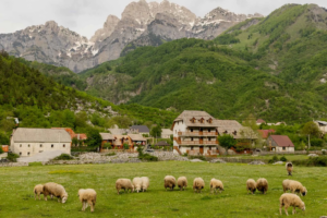 “Breaking Travel News”: Shqipëria, vendi i pushimeve perfekte